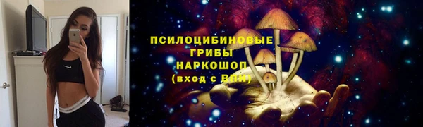 эйфоретик Абинск