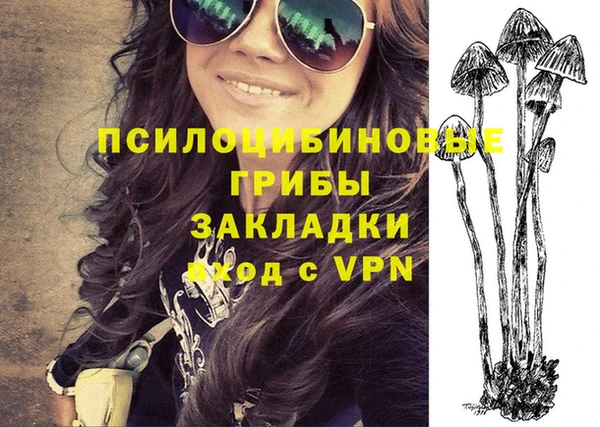 эйфоретик Абинск