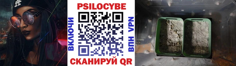 Галлюциногенные грибы GOLDEN TEACHER  Инза 